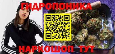 молекула духа Гатчина