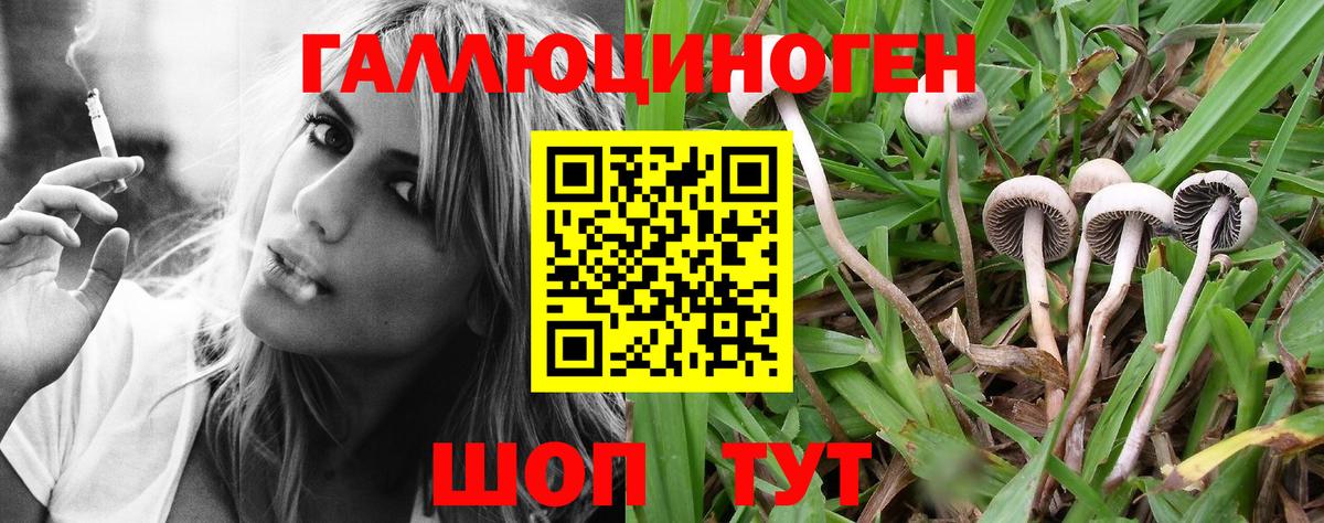 Галлюциногенные грибы GOLDEN TEACHER  Вход с VPN  Кондопога 